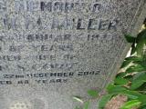 image of grave number 771711